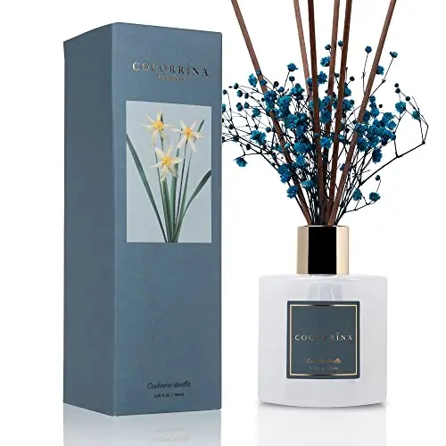 COCORRINA Cashmere Vanilla Reed Diffuser with preserved baby's breath