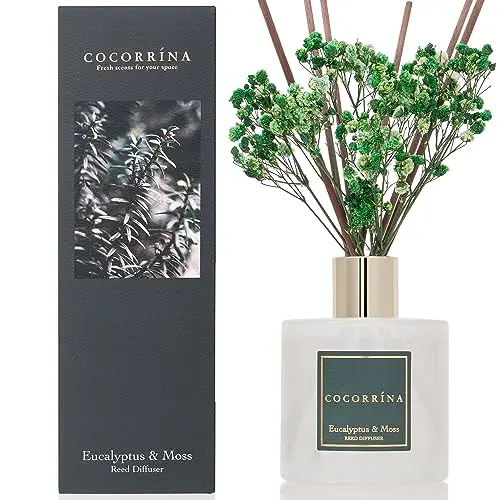 COCORRINA Eucalyptus & Moss Reed Diffuser Set with preserved baby's breath flowers in a glass bottle