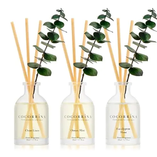 COCORRINA set of three eucalyptus-themed reed diffusers with clear glass bottles